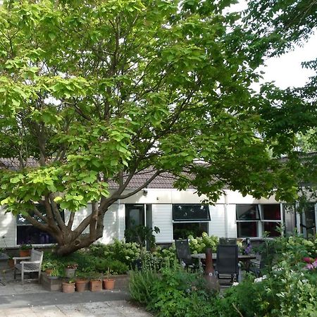 Huis Bij De Catalpa دوردريشت المظهر الخارجي الصورة